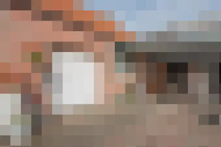 Molenstraat 21 Swolgen thumbnail 50