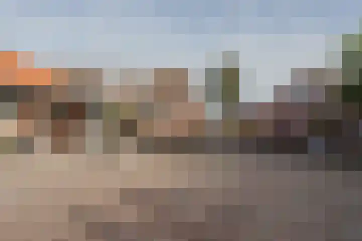 Molenstraat 21 Swolgen thumbnail 51