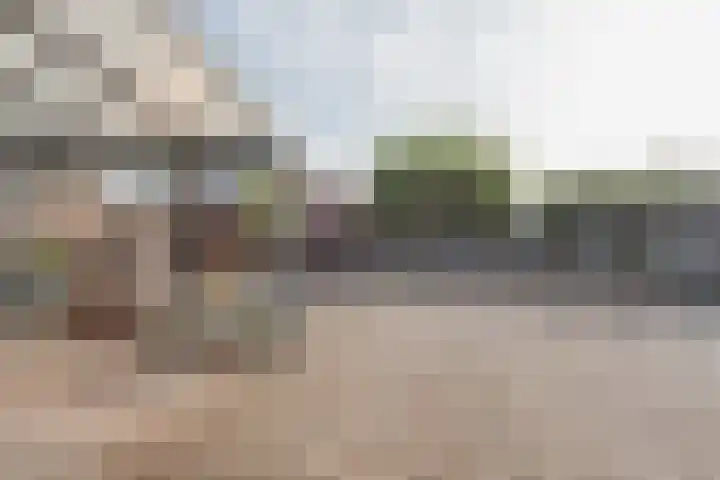 Molenstraat 21 Swolgen thumbnail 53