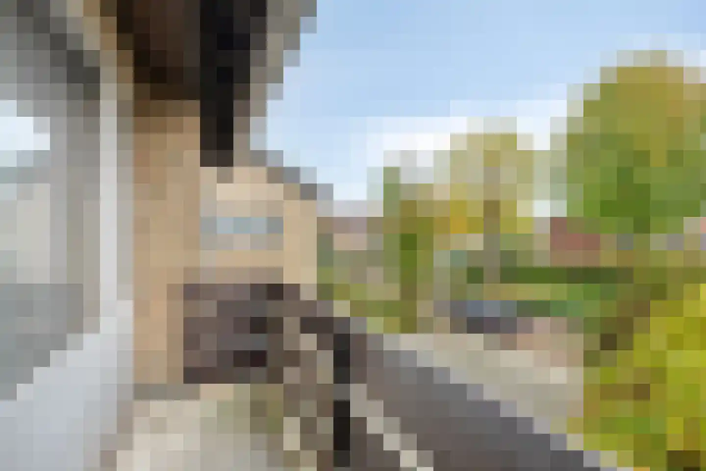 Molenstraat 22 Hapert thumbnail 20