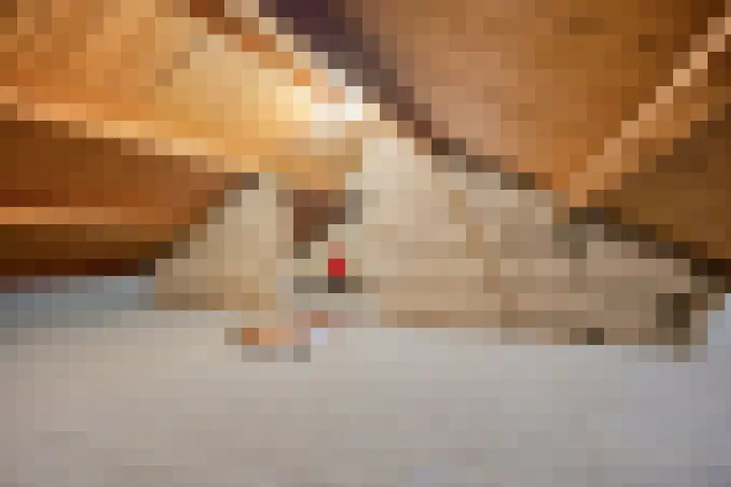Molenstraat 22 Hapert thumbnail 26
