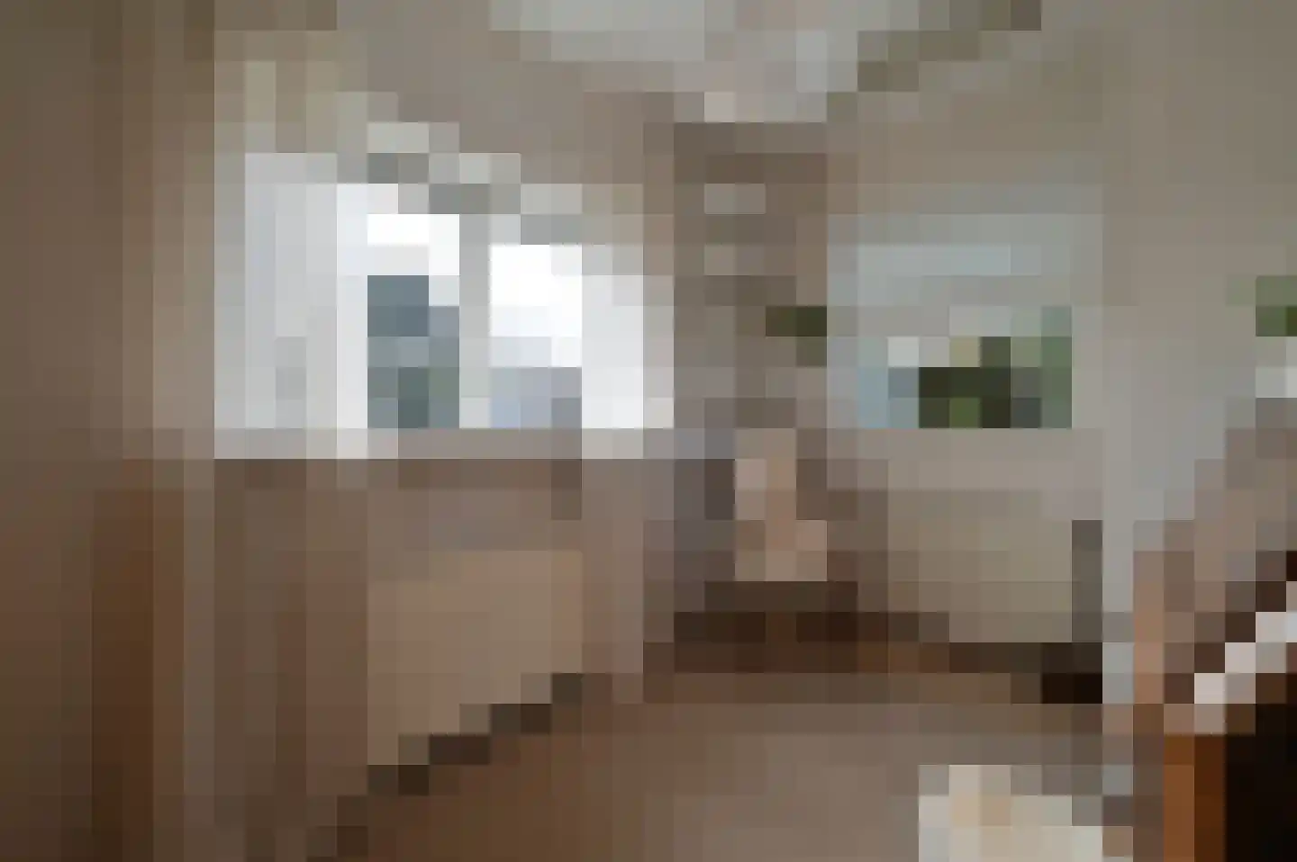 Molenstraat 23 Putten thumbnail 5