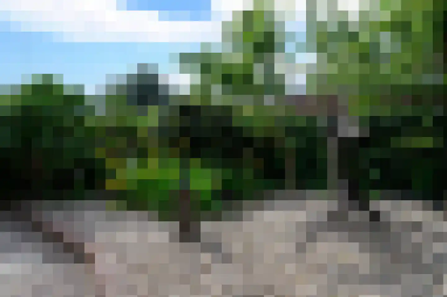 Molenstraat 23 Putten thumbnail 55