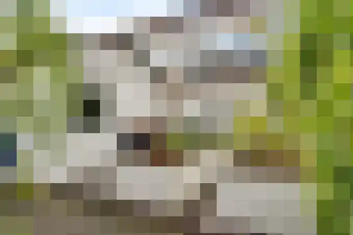 Molenstraat 23 Zoetermeer thumbnail 31