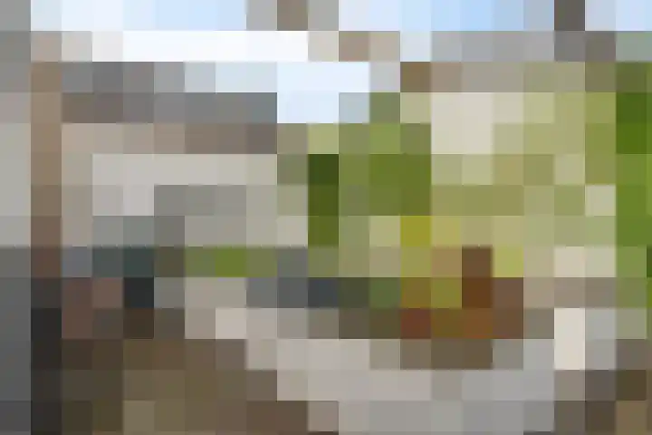 Molenstraat 23 Zoetermeer thumbnail 32