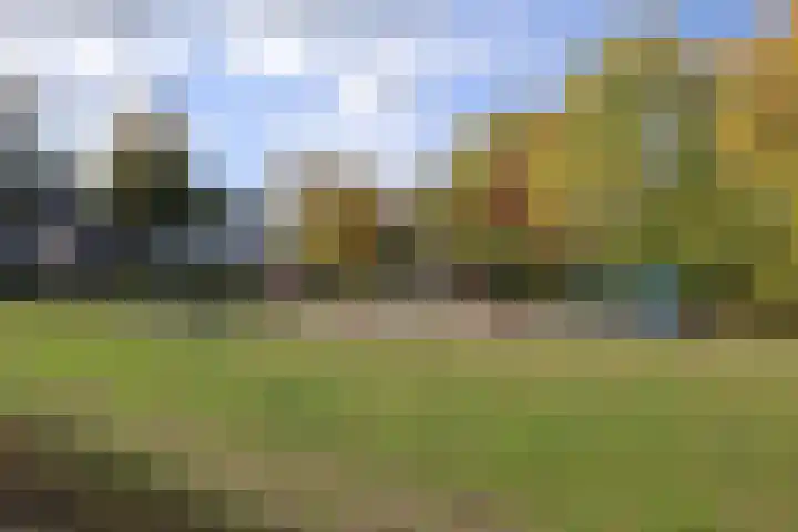 Molenstraat 24 Asten thumbnail 31