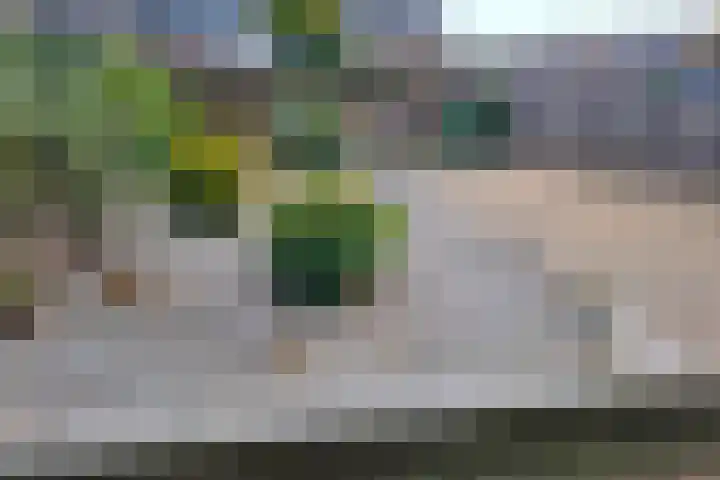 Molenstraat 24 Asten thumbnail 5
