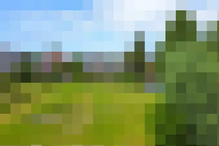 Molenstraat 24 Eerbeek thumbnail 5