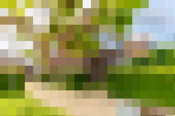 Molenstraat 24 Eerbeek thumbnail 8