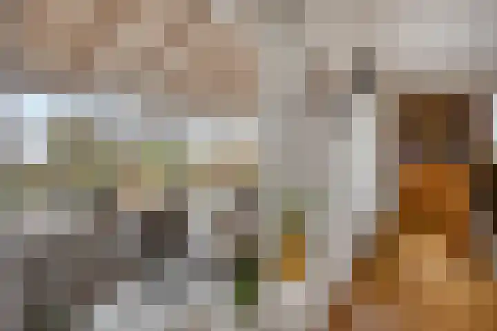 Molenstraat 25 Heumen thumbnail 11