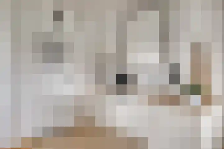 Molenstraat 25 Heumen thumbnail 9