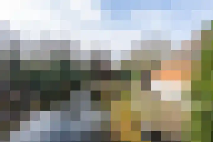 Molenstraat 3 Maurik thumbnail 13