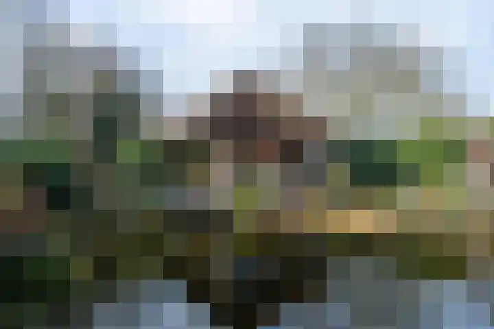 Molenstraat 3 Maurik thumbnail 17