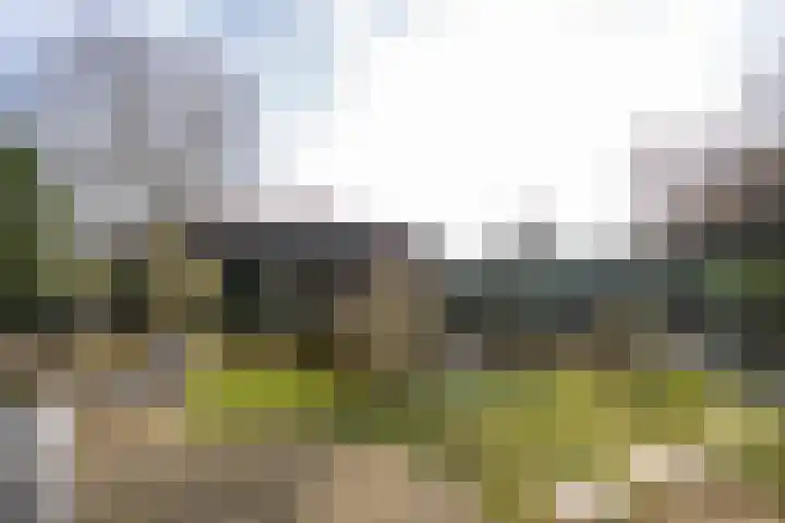 Molenstraat 3 Maurik thumbnail 21