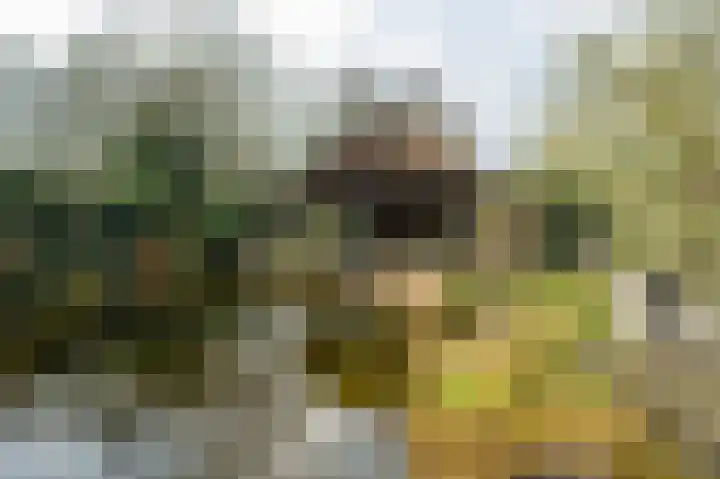 Molenstraat 3 Maurik thumbnail 22
