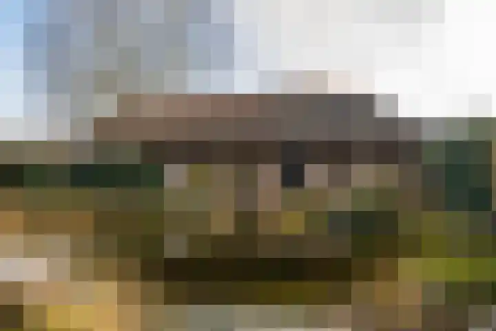 Molenstraat 3 Maurik thumbnail 23