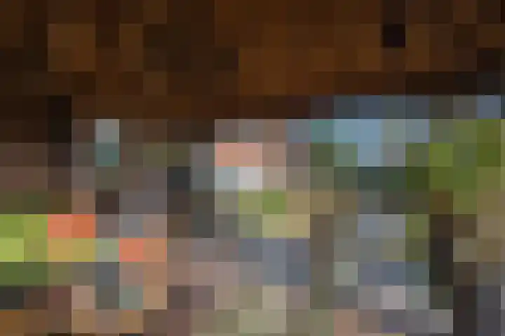 Molenstraat 3 Maurik thumbnail 27