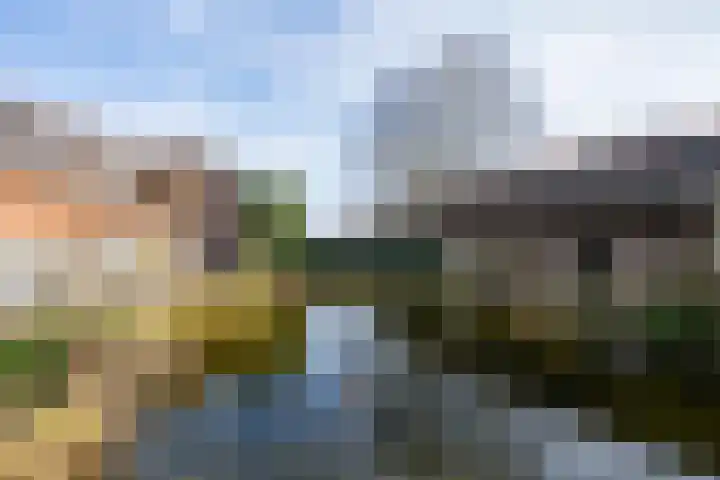 Molenstraat 3 Maurik thumbnail 28