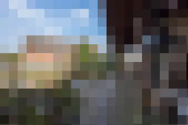 Molenstraat 3 Maurik thumbnail 29