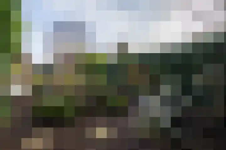 Molenstraat 3 Maurik thumbnail 32