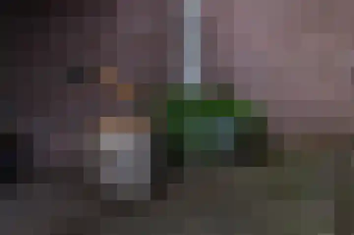 Molenstraat 3 Maurik thumbnail 34