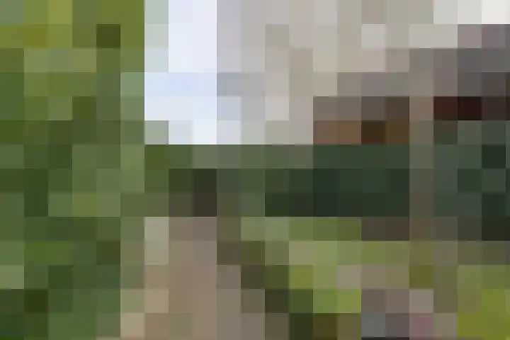Molenstraat 3 Maurik thumbnail 37