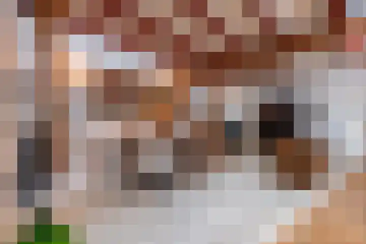 Molenstraat 3 Maurik thumbnail 57