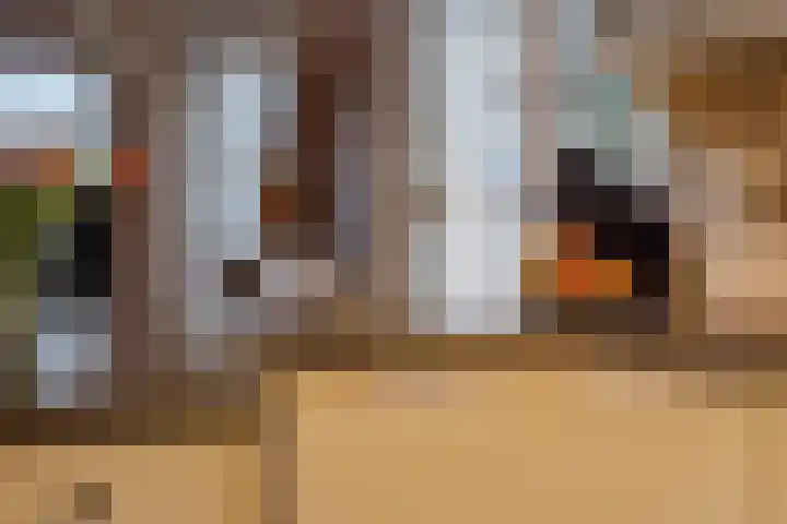 Molenstraat 3 Maurik thumbnail 65