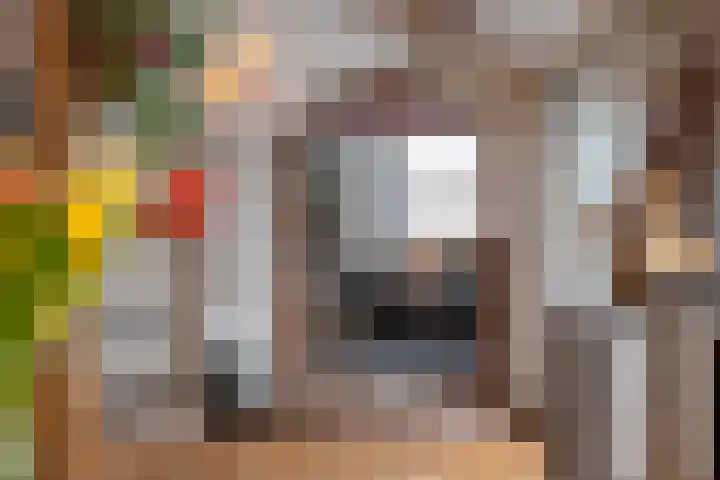 Molenstraat 3 Maurik thumbnail 67
