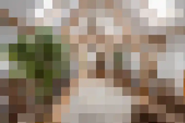 Molenstraat 3 Maurik thumbnail 76