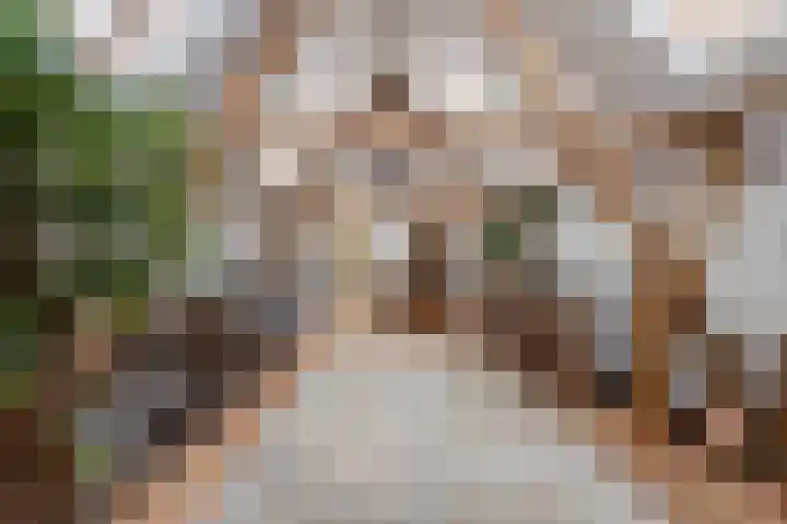 Molenstraat 3 Maurik thumbnail 80