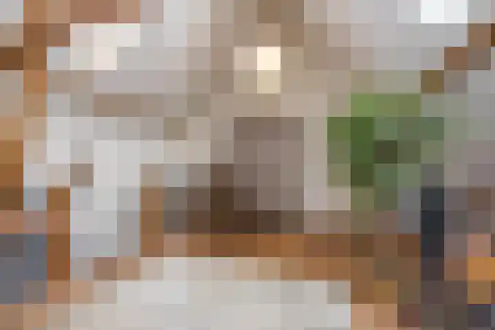 Molenstraat 3 Maurik thumbnail 89