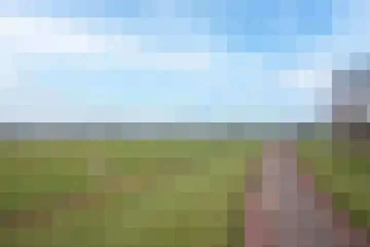 Molenstraat 3 Maurik thumbnail 96
