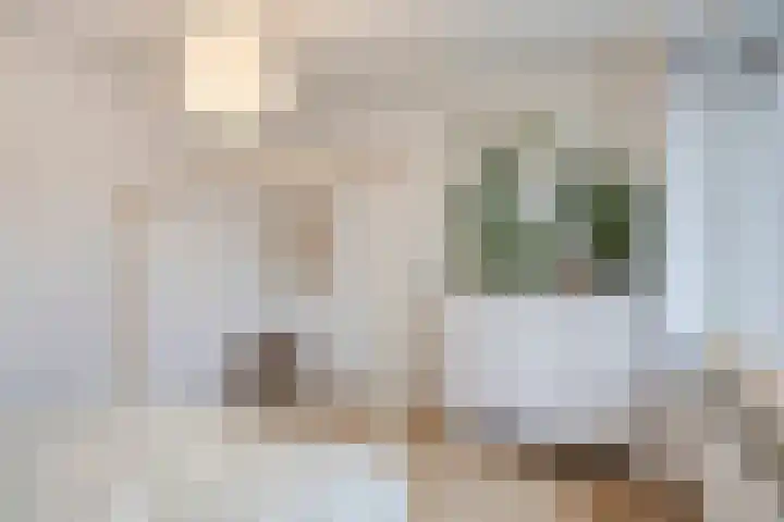 Molenstraat 31 Vught thumbnail 22