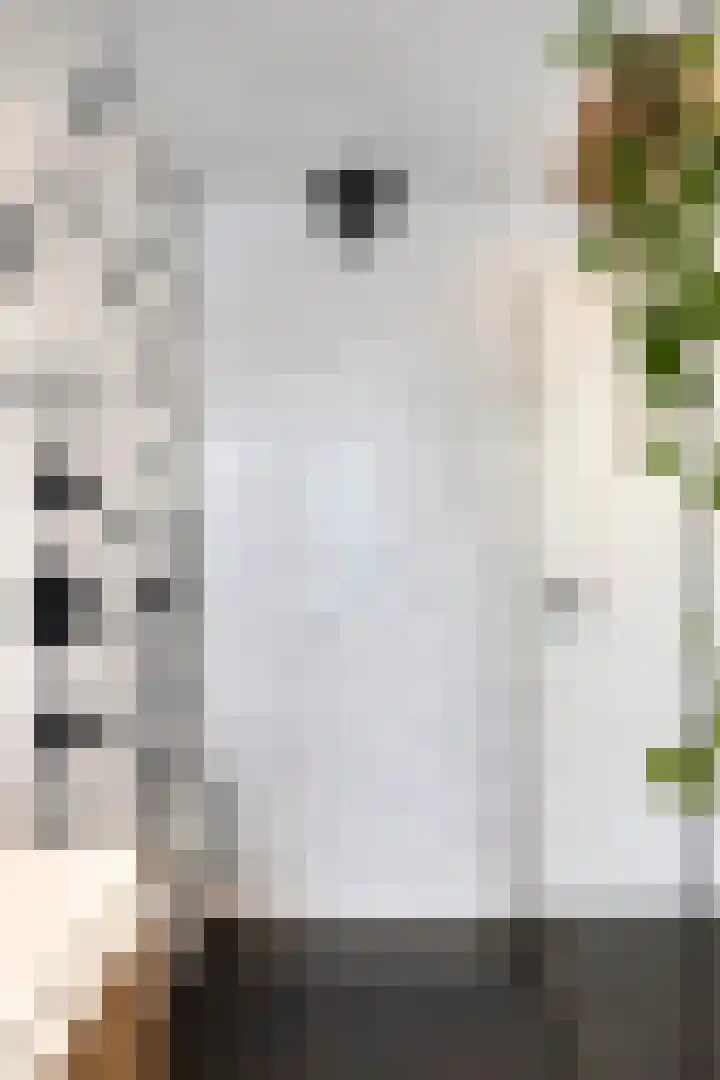 Molenstraat 31 Vught thumbnail 27