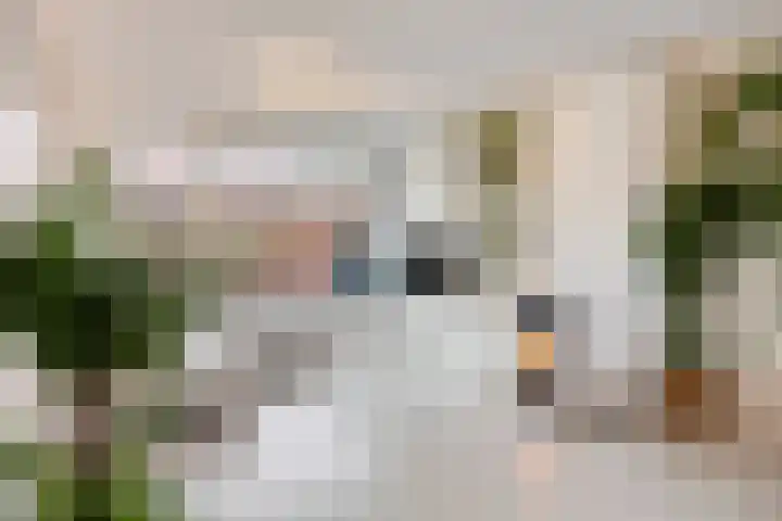 Molenstraat 31 Vught thumbnail 4