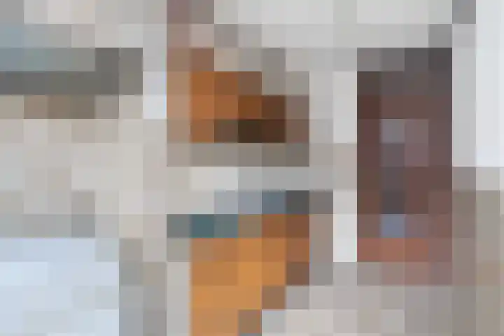 Molenstraat 31 Zoetermeer thumbnail 24