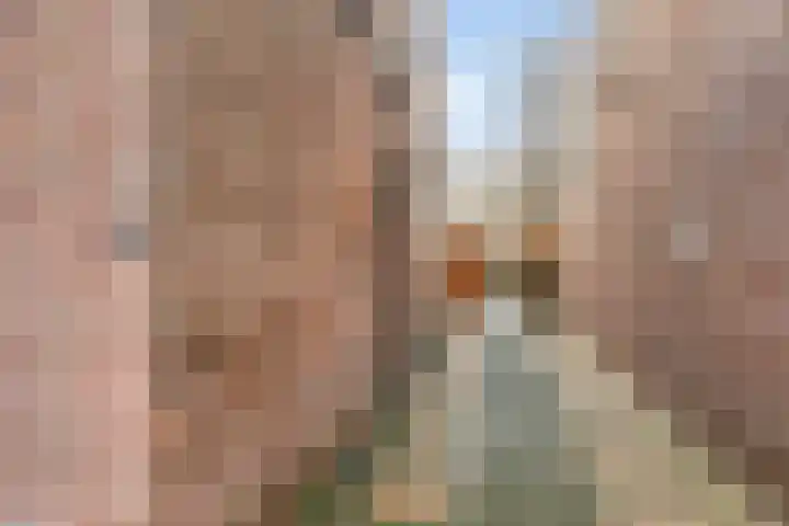 Molenstraat 31 Zoetermeer thumbnail 7