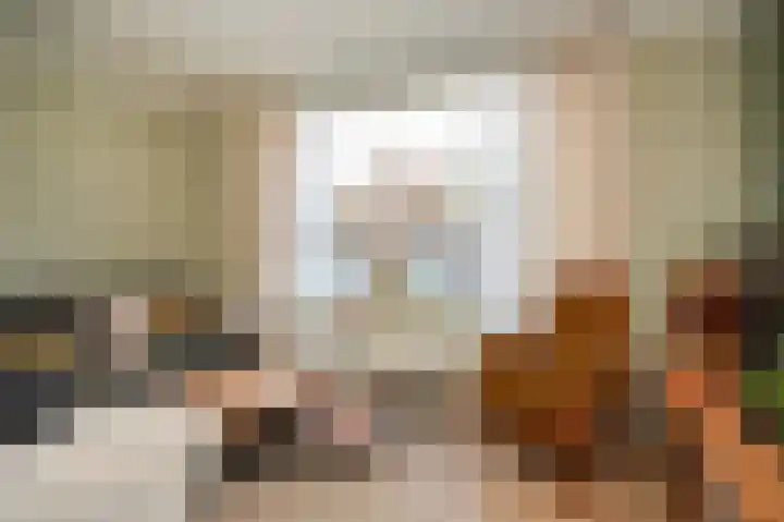 Molenstraat 33 Kerkdriel thumbnail 13