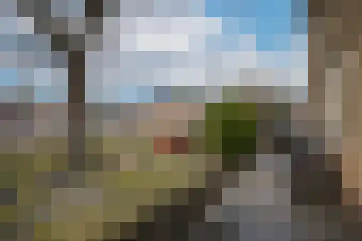 Molenstraat 33 Kerkdriel thumbnail 36