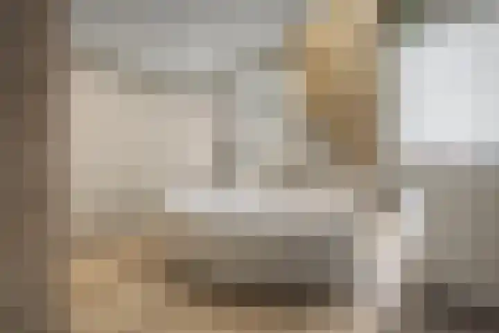 Molenstraat 34 Westdorpe thumbnail 33