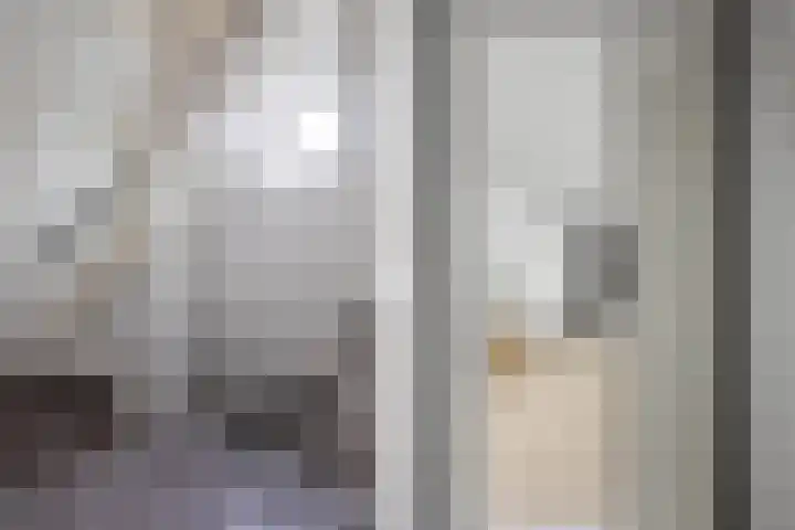 Molenstraat 34 Westdorpe thumbnail 35