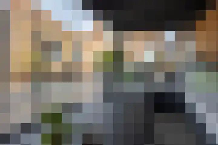 Molenstraat 34 Westdorpe thumbnail 43