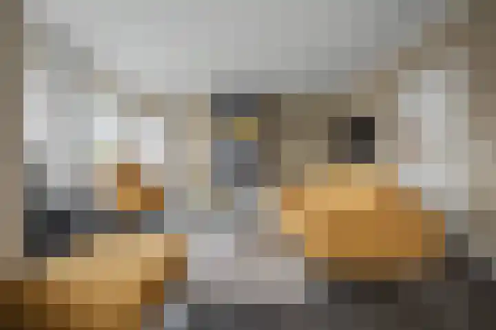 Molenstraat 34 Westdorpe thumbnail 6