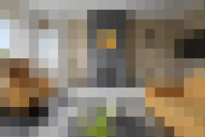 Molenstraat 34 Westdorpe thumbnail 8