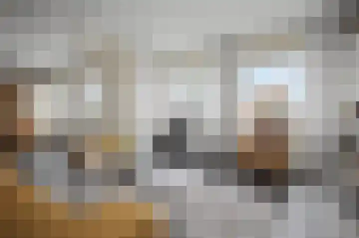 Molenstraat 34 Westdorpe thumbnail 9