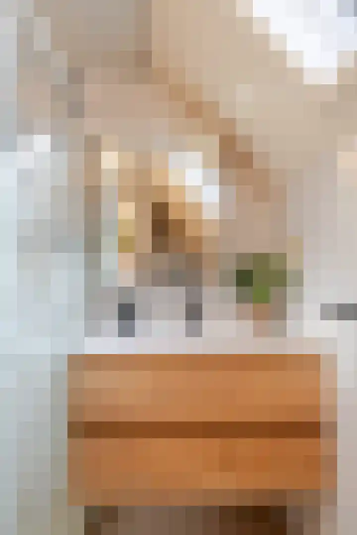 Molenstraat 4 Herwen thumbnail 22