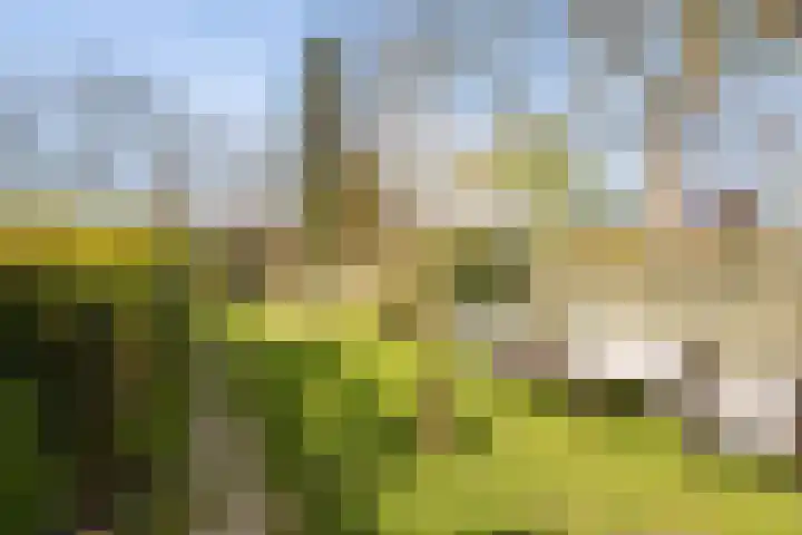 Molenstraat 4 Herwen thumbnail 26
