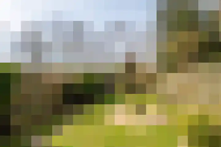 Molenstraat 4 Herwen thumbnail 27