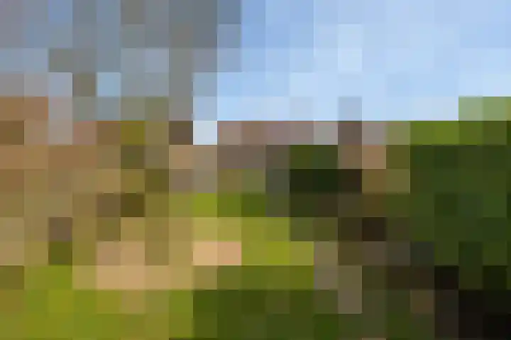 Molenstraat 4 Herwen thumbnail 30